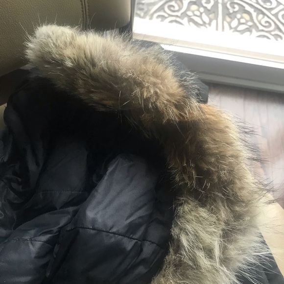 Girls ages 10-12 Canada goose - Picture 7 of 8